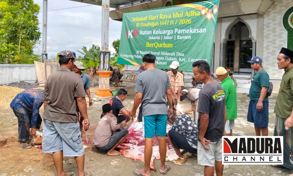 IKP Jakarta Jabar Banten Salurkan Hewan Kurban di Pamekasan, Warga Sambut Antusias (Ilustrasi)